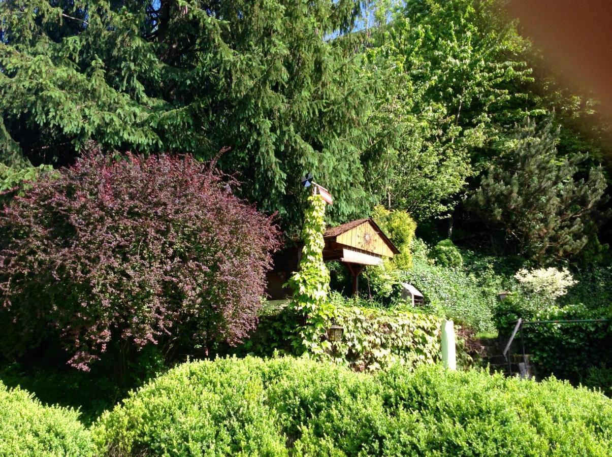 Haus Gnigl Appartamento